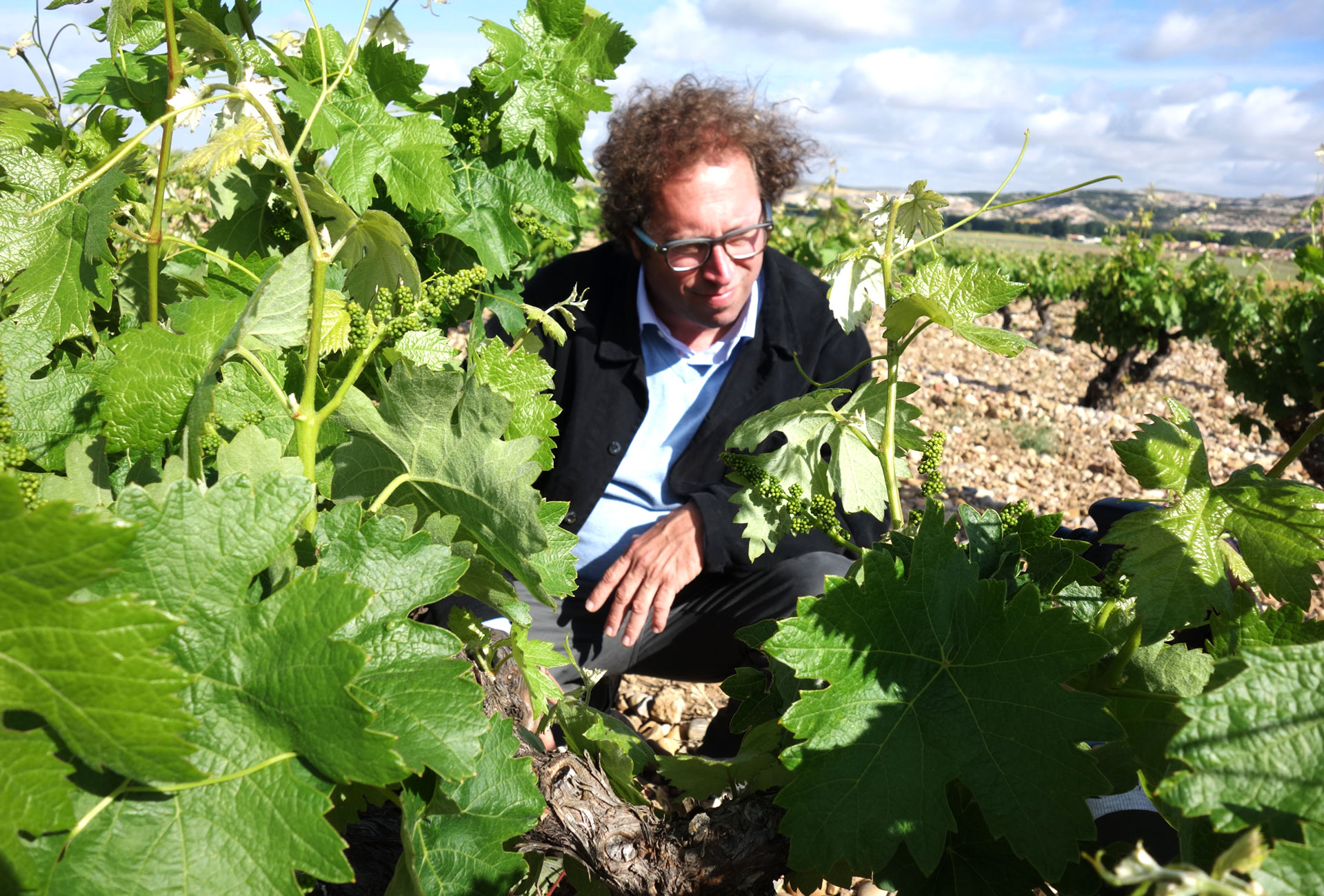 EL-VIGNERON