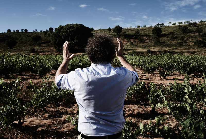 Bertrand Sourdais, de espaldas y con los brazos abiertos, ante un viñedo viejo en las Tierras de Soria