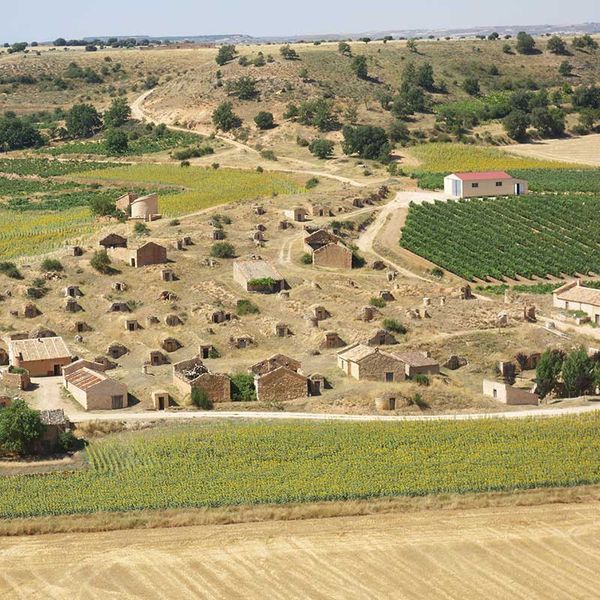 Bodegas tradicionales excavadas en la ladera junto a los viñedos de la Ribera del Duero soriana