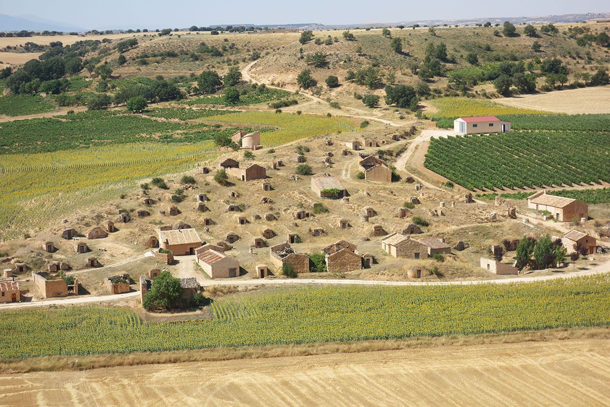 Bodegas tradicionales excavadas en la ladera junto a los viñedos de la Ribera del Duero soriana