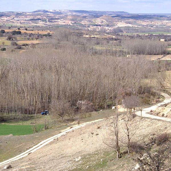 Vista invernal del valle del Duero a su paso por la provincia de Soria