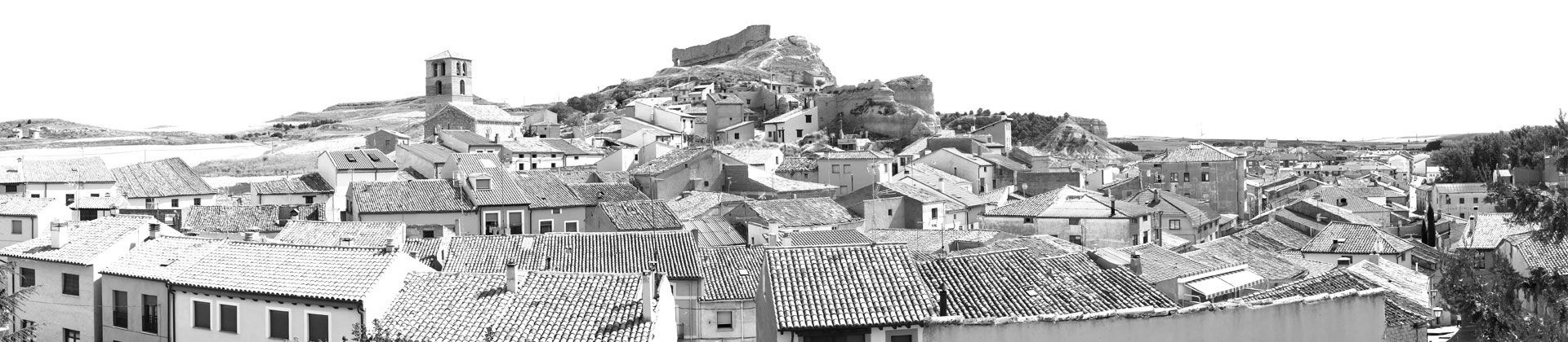 Paisaje de viñedos y campos de las Tierras de Soria