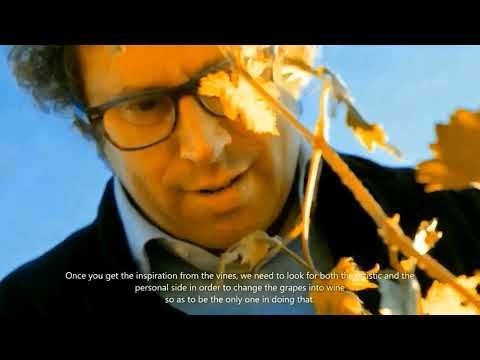 Bertrand Sourdais · El Vigneron de las Tierras de Soria, on video