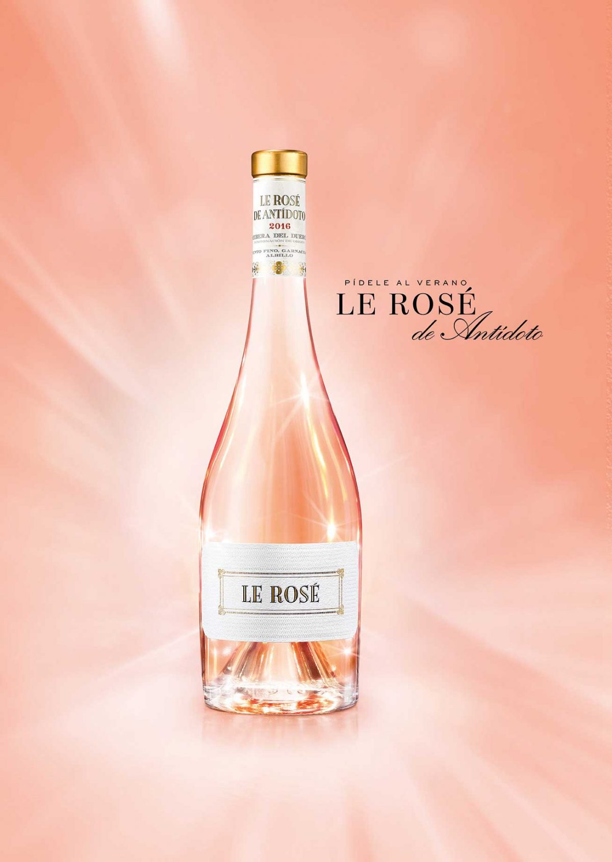 Le Rosé – BERTRAND SOURDAIS